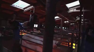 Un éleveur vire des activistes végan de sa ferme à grand coups de pied